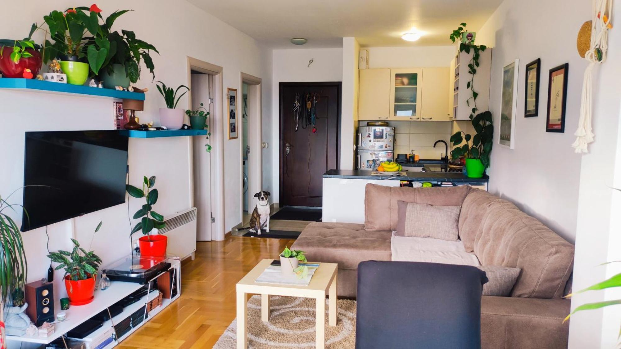 Sila - Cozy Flat With Sea View, Free Parking, Pet Friendly *